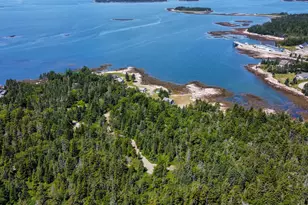 Lot 9-1 Black Duck Cove Rd, Beals, ME 04611 - Photo 1