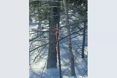 73 Ferry Road, Stockton Springs, ME 04981 - Photo 1