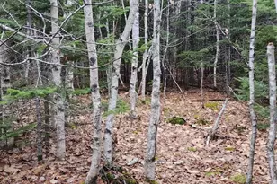 106 Carol Ct, Bangor, ME 04401 - Photo 1