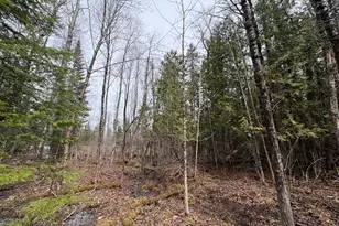 016-D Presque Isle Rd, Ashland, ME 04732 - Photo 1