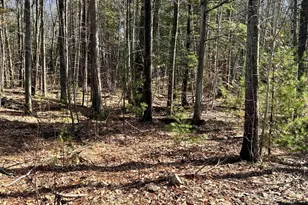 9 Lucas Farm Rd, York, ME 03909 - Photo 1