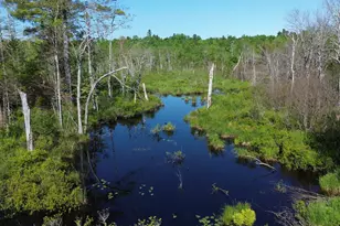 M12Lot29 Monroe Hwy, Brooks, ME 04921 - Photo 1