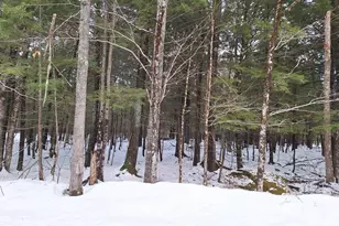 Lot 7B Highland Pines Rd, Bridgton, ME 04009 - Photo 1