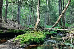 M8 L63 Bristol Rd, Bristol, ME 04539 - Photo 1