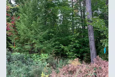 0 Chaplin Mills Road, Bridgton, ME 04009 - Photo 1