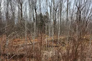 Lot 29-4 Windfall Ln, Palmyra, ME 04965 - Photo 1