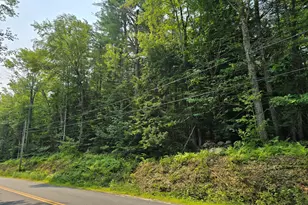 Lot 4A Center Conway Rd, Brownfield, ME 04010 - Photo 1