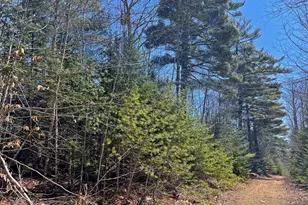 0 Boggy Brook Rd, Ellsworth, ME 04605 - Photo 1