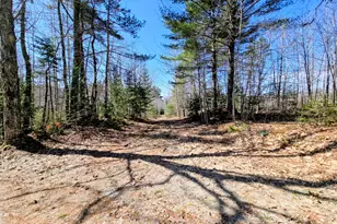 Lot 42-2 Off Burnham Hill Rd, Freedom, ME 04941 - Photo 1