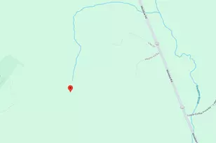 117 Higgins Hill Rd, Casco, ME 04015 - Photo 1