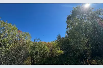 406 US Route 1, Whiting, ME 04691 - Photo 1