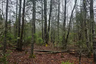 00 Mount Ephraim Rd, Searsport, ME 04974 - Photo 1