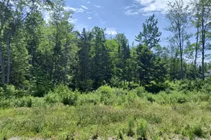 0 Birchwood Terrace, Pittsfield, ME 04967 - Photo 1