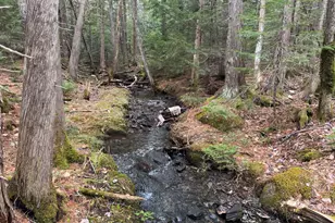 Lot 14-6 North Rd, Lee, ME 04455 - Photo 1