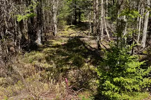 Lot 94 Yoho Head Rd, Machiasport, ME 04655 - Photo 1