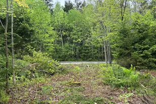 M10 L14I Sturtevant Hill Rd, Winthrop, ME 04364 - Photo 1