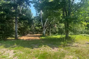 Lot #5 Puffins Ln, Machiasport, ME 04655 - Photo 1