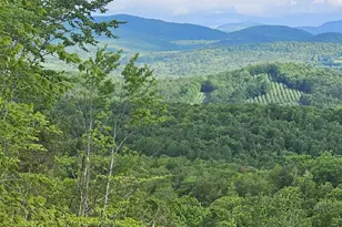 409 Streaked Mountain Rd, Buckfield, ME 04220 - Photo 1