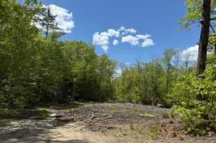 Lot 1 Naples Rd, Harrison, ME 04040 - Photo 1