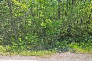 31 Howard Siding Ln Ln, Abbot, ME 04406 - Photo 1