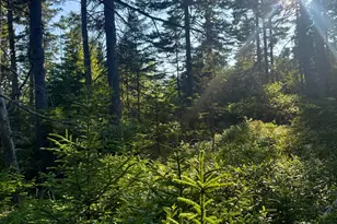 Lot #1 Pequot Rd, Vinalhaven, ME 04863 - Photo 1