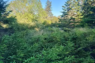 Lot #2 Pequot Rd, Vinalhaven, ME 04863 - Photo 1