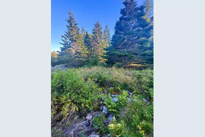 Lot #3 Pequot Road, Vinalhaven, ME 04863 - Photo 1