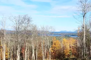 44 Bay Vw Dr, Greenville, ME 04441 - Photo 1