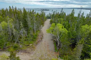 M14 Lot 16 S South Ocean Rd, Machiasport, ME 04655 - Photo 1