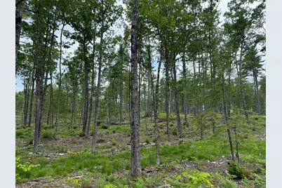 Lot 3 Isaac Stevens Road, Bridgton, ME 04009 - Photo 1