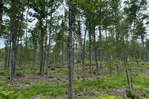 Lot 3 Isaac Stevens Rd, Bridgton, ME 04009 - Photo 1