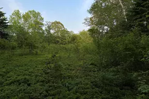 M6L54 Bristol Rd, Bristol, ME 04539 - Photo 1