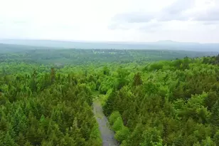 14 Alpine Ridge, Greenville, ME 04441 - Photo 1