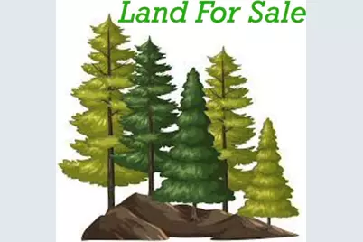 6.79 A End McAllister Rd, Buckfield, ME 04220 - Photo 1