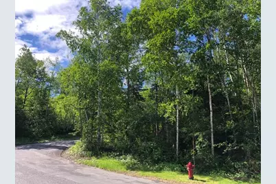 Lot 94 Winter Street, Madawaska, ME 04756 - Photo 1