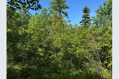 M4L19 Village Road, Jackson, ME 04921 - Photo 1