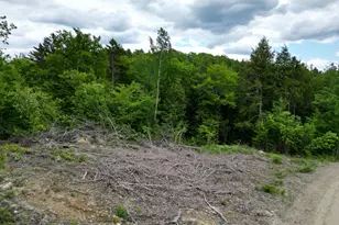 Lot 4 Shep Road Ext, Springfield, ME 04487 - Photo 1