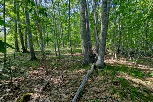 Lot Tbd West Hamlet Rd, Newcastle, ME 04553 - Photo 1
