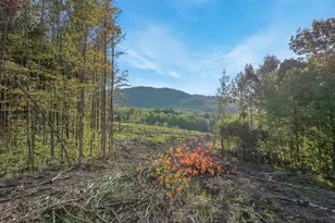 Lot # 2 Eaton Hill Rd, Rumford, ME 04276 - Photo 1