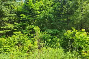Lot 29B Windfall Ln, Palmyra, ME 04965 - Photo 1
