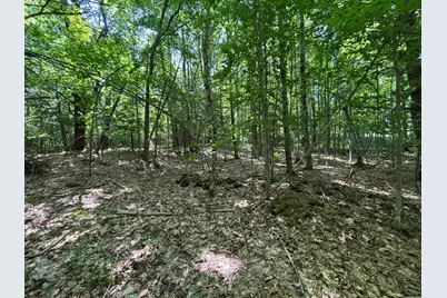 Lot 5 Naples Road, Harrison, ME 04040 - Photo 1