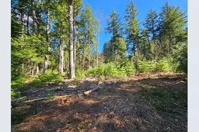 0 Hancock Pond Road, Denmark, ME 04022 - Photo 1