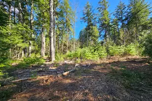 0 Hancock Pond Rd, Denmark, ME 04022 - Photo 1