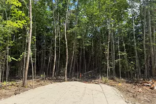 Lot 20 Wildwood Rd, Bridgton, ME 04009 - Photo 1