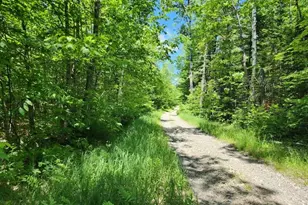 L 8 McManus Tote Rd, Mount Chase, ME 04765 - Photo 1