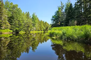 Lot 49 Meeting House Rd, Columbia Falls, ME 04623 - Photo 1