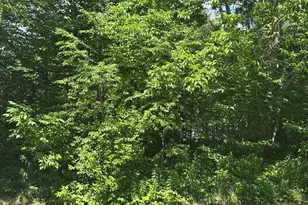 Lot #3 Peaslee Road Rd, Hancock, ME 04640 - Photo 1