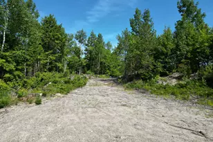Lot 39 Southwest Brook Ln, Beddington, ME 04622 - Photo 1