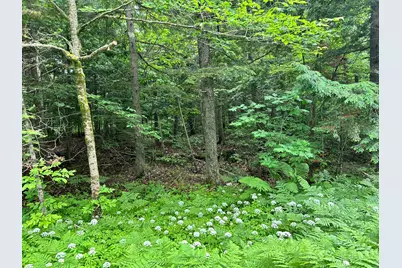 M11 L38 Essex Street, Dover Foxcroft, ME 04426 - Photo 1