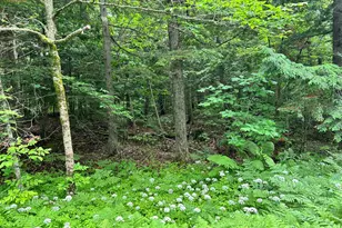 M11 L38 Essex St, Dover Foxcroft, ME 04426 - Photo 1